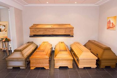 Unsere Ausstellung